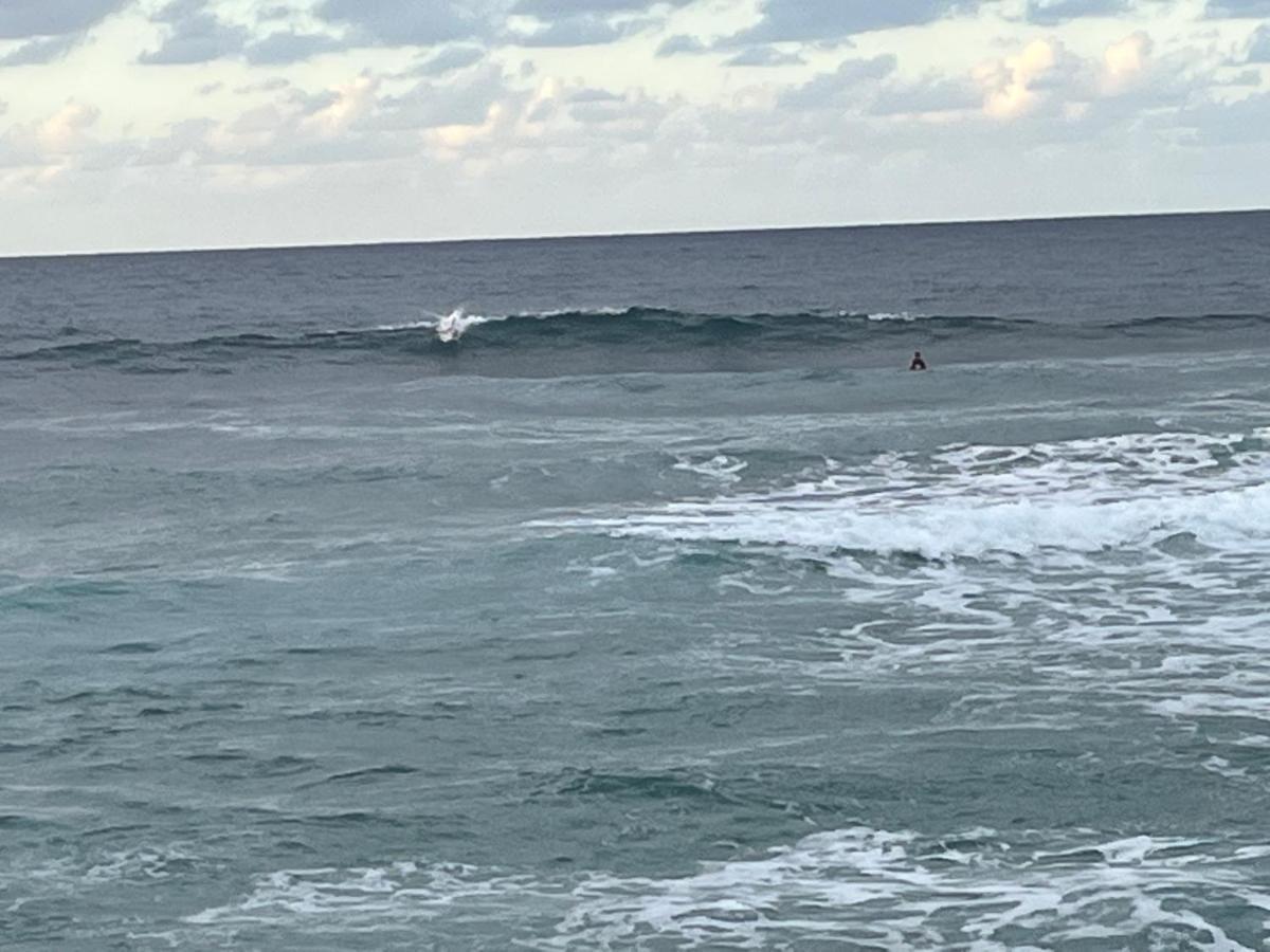 Beach Cabarete Ecolodge De Luxe Maravilla Encuentro Surf, Kite Экстерьер фото