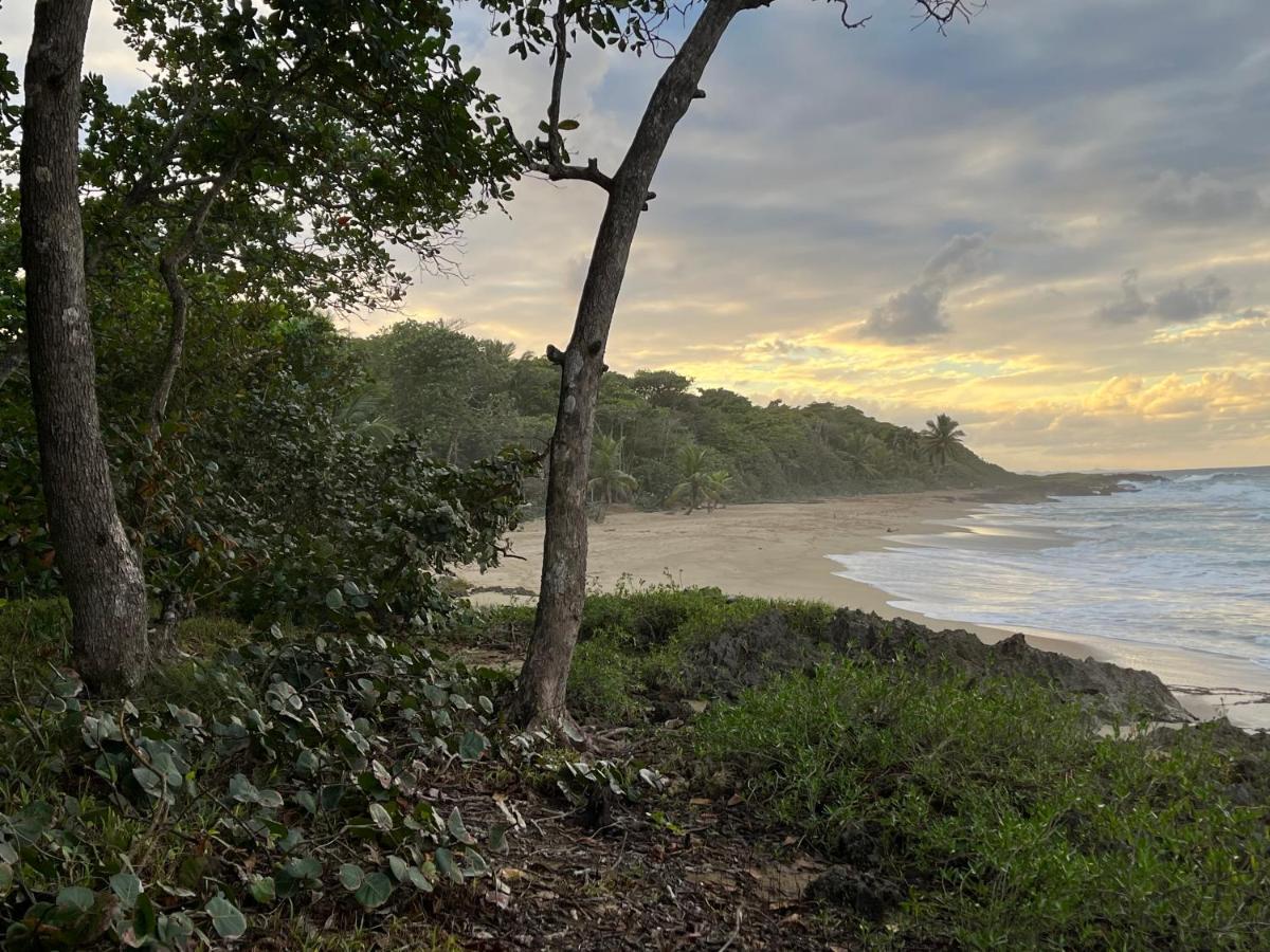 Beach Cabarete Ecolodge De Luxe Maravilla Encuentro Surf, Kite Экстерьер фото
