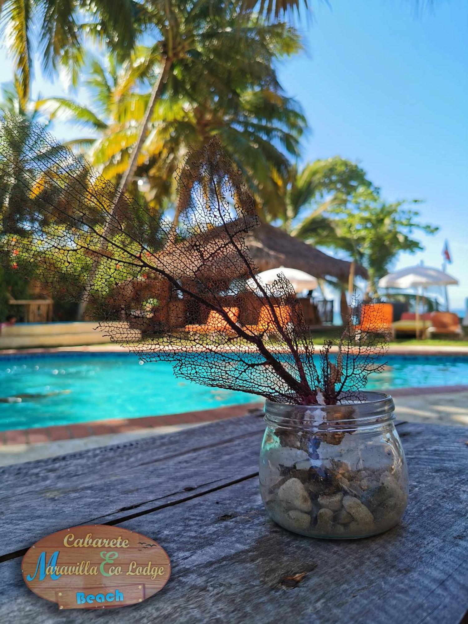 Beach Cabarete Ecolodge De Luxe Maravilla Encuentro Surf, Kite Экстерьер фото